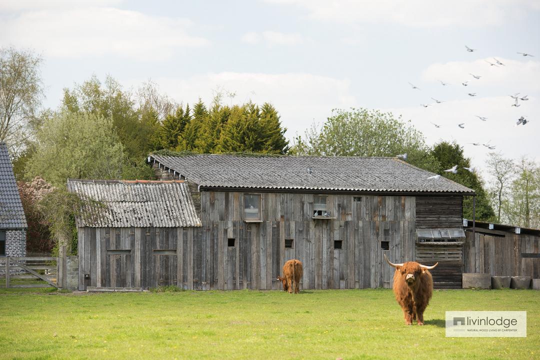 eiken tuinberging - houten bijgebouwen op maat